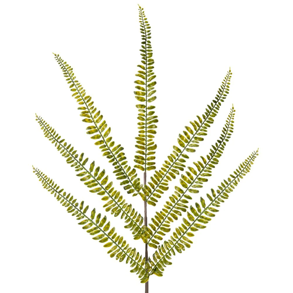 scianawschodnia20260929210847947697