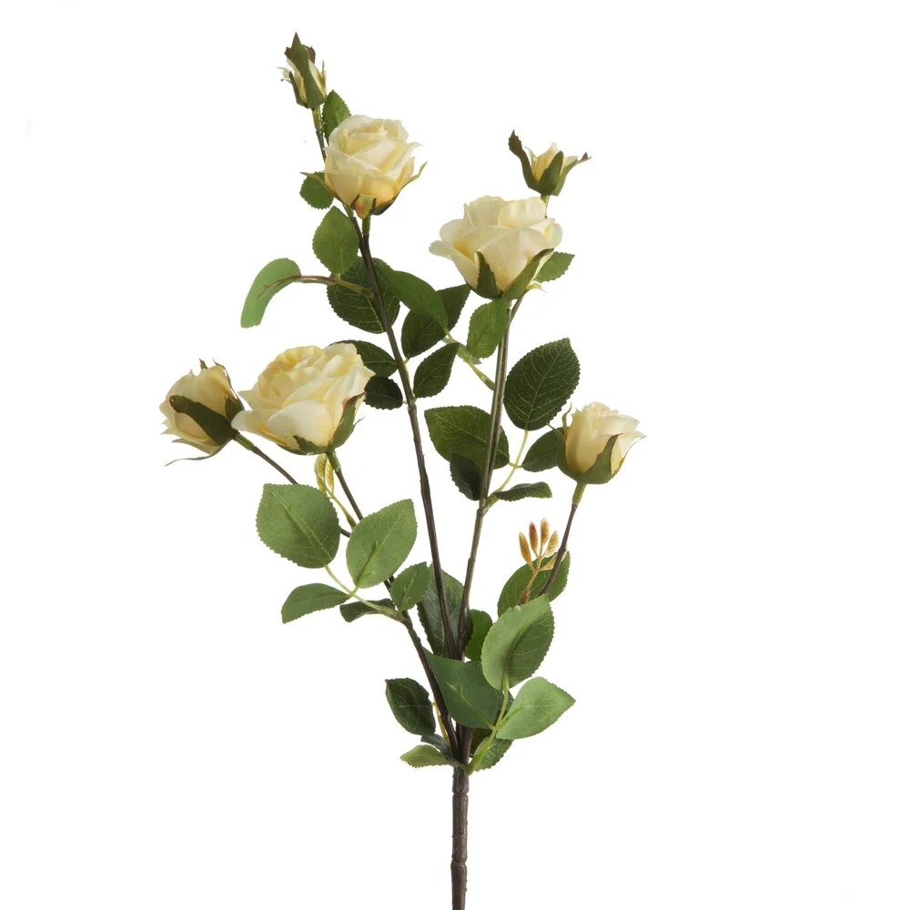 scianawschodnia20260929213741955772